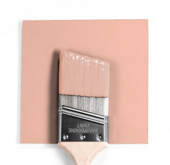 Benjamin Moore Conch Shell 052