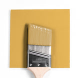 Benjamin Moore Marblehead Gold John Boyle Decorating Center