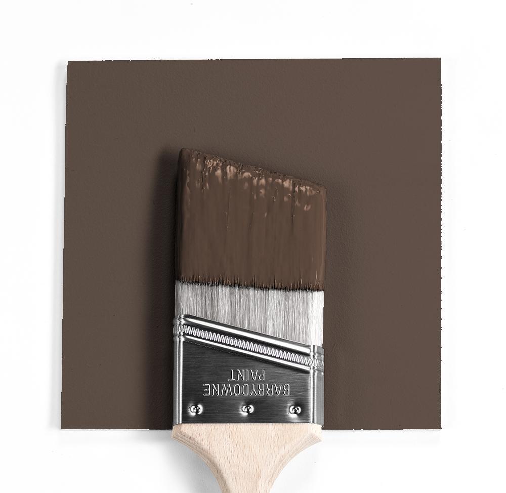 HC-20 Woodstock Tan a Paint Color by Benjamin Moore