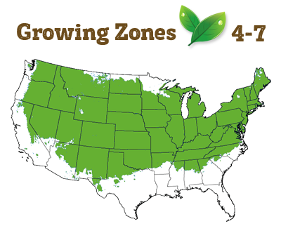 growing zone 4-7