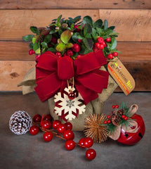 American Wintergreen Gift