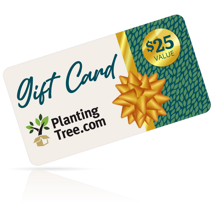 planting tree gift cards