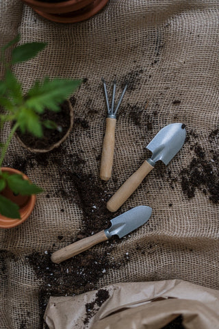 how to plant a tree - gardening tools