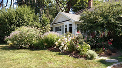 easy landscaping ideas for front of house - privacy and massing