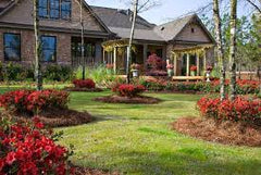 Landscaping with Azaleas