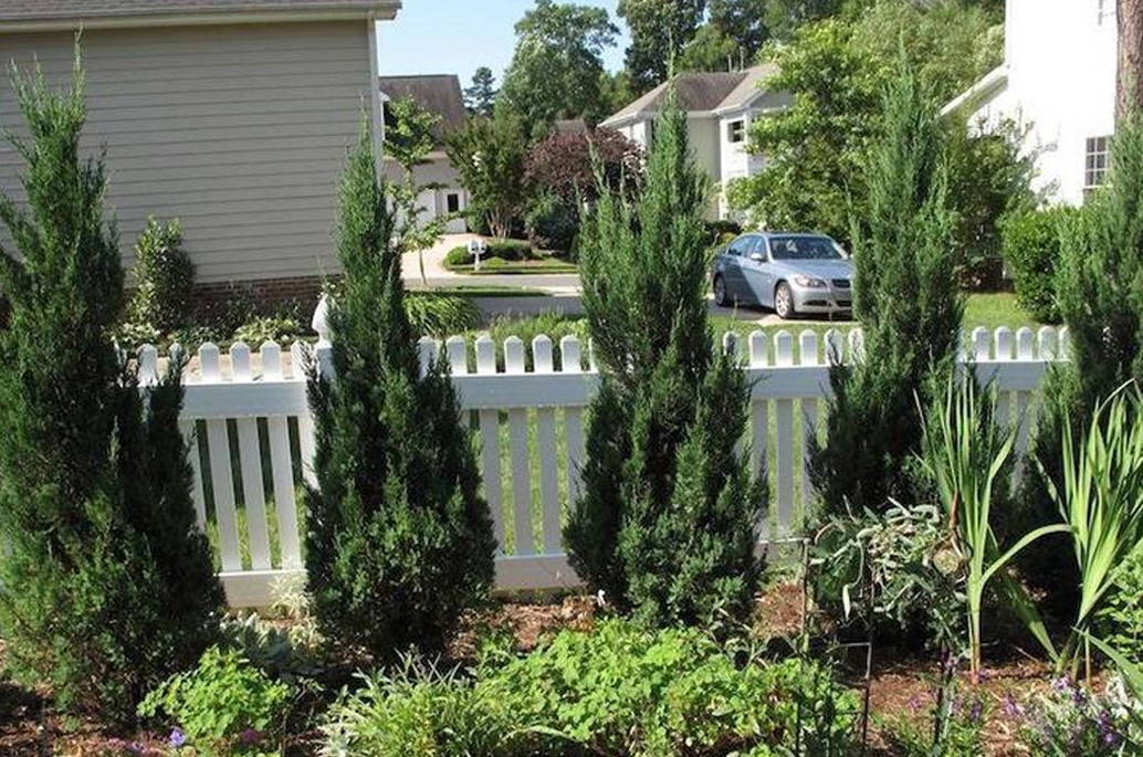 medium privacy trees