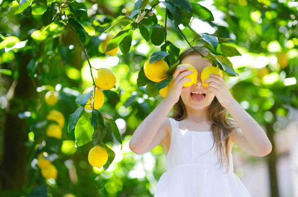 meyer lemon