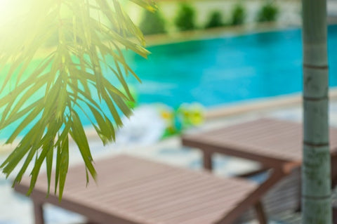 palm tree by pool - how to plant palm trees