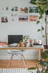 office desk with plants - psychological benefits of plants