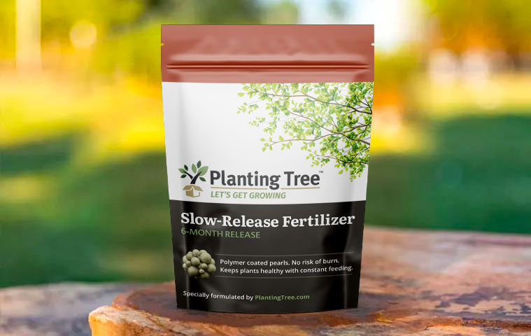 how to fertilize fast growing trees