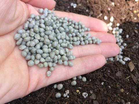 fertilizing in winter - slow release fertilizer pellets