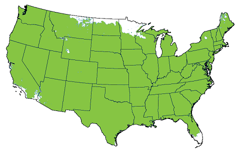 Growing zones 4 to 9