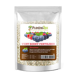 very berry fertilizer