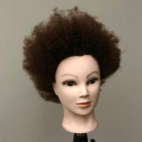 Manniquin Head 100% Human Afro