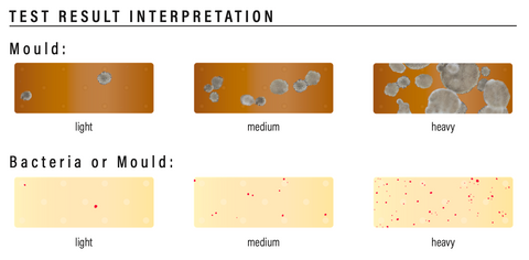 Mould & Bacteria Test Kit Results Chart