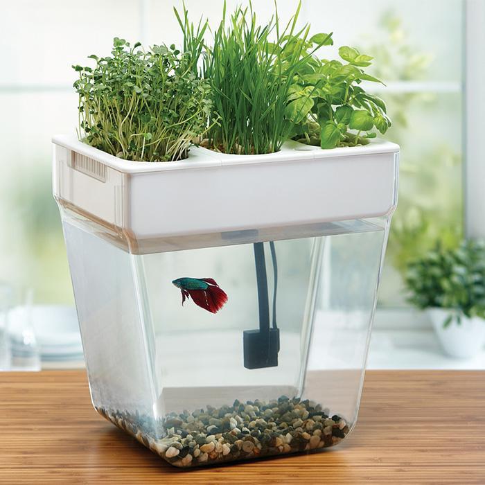 Fluid Growers Water GardenSelf-Cleaning Fish Tank Herb ...