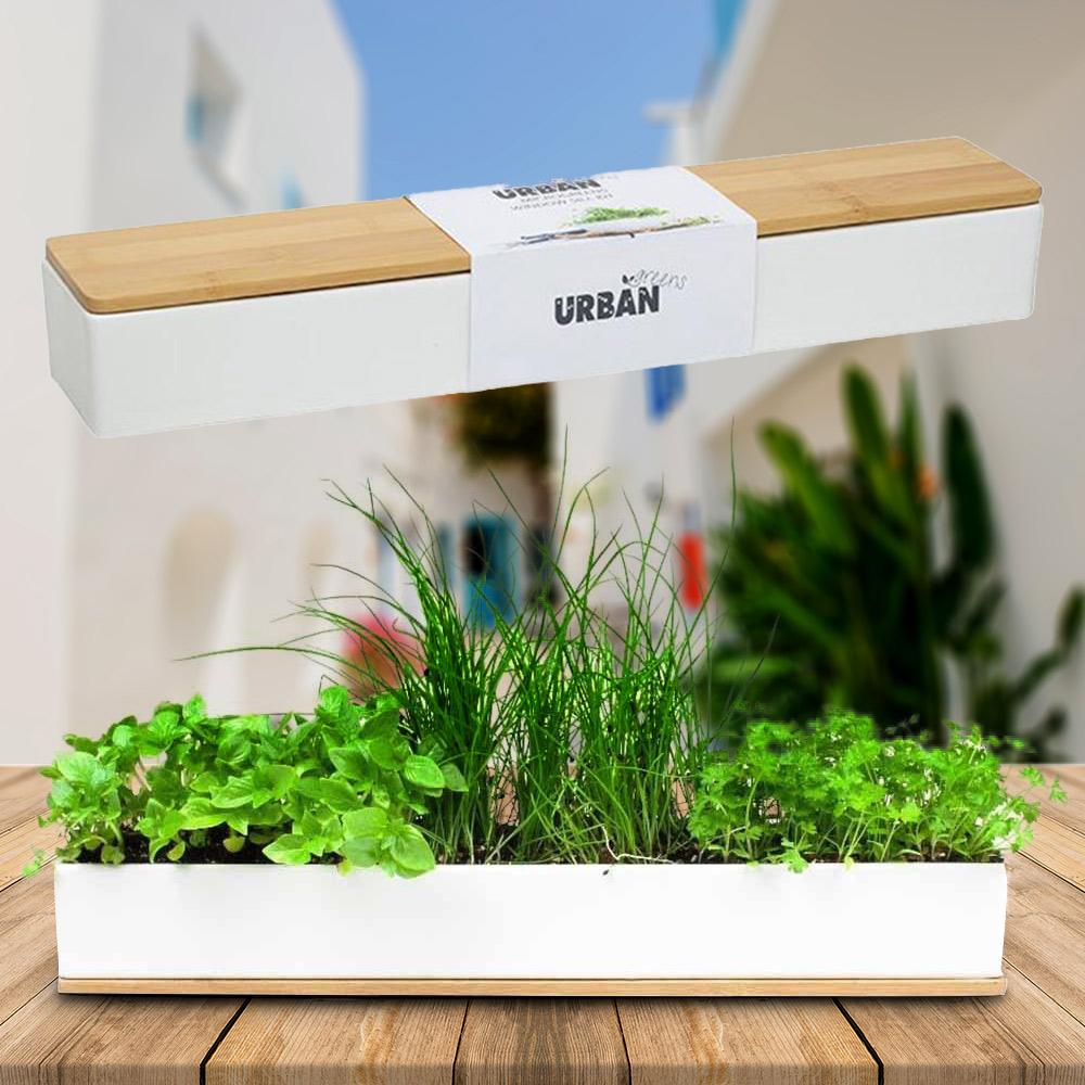 Micro Herbs Porcelain Window Sill Planter Box Grow Kit Urban