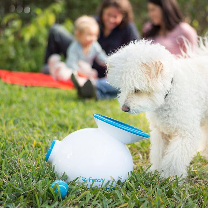 ifetch automatic ball launcher for dogs