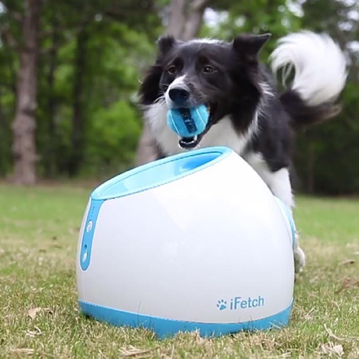 ifetch too interactive ball launcher for dogs