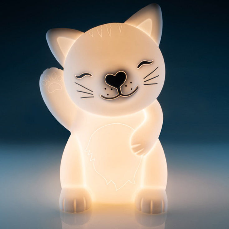 rechargeable cat light