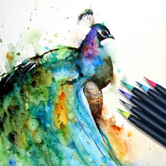 Watercolor Brush Pens Peacock Artwork