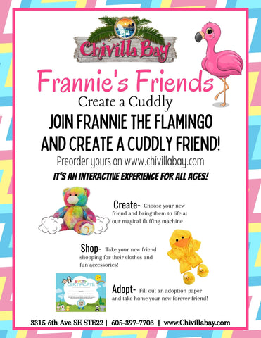 Frannie and Friends Create a Cuddly bear or stuffed animal workshop