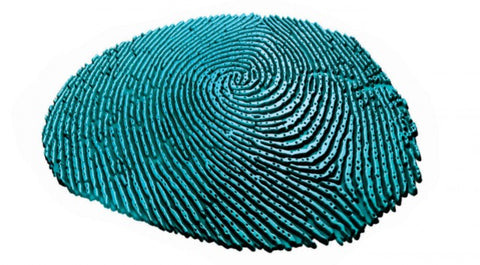hair is unique as fingerprint