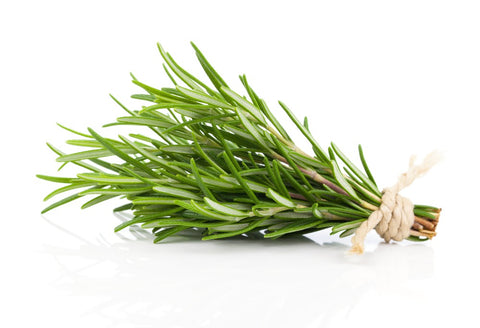 Rosemary leaf