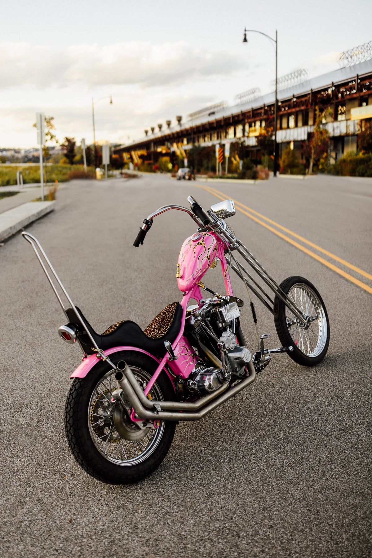 Harley-Davidson Shovelhead Chopper Motorcycle Pink Panther Pittsburgh Moto