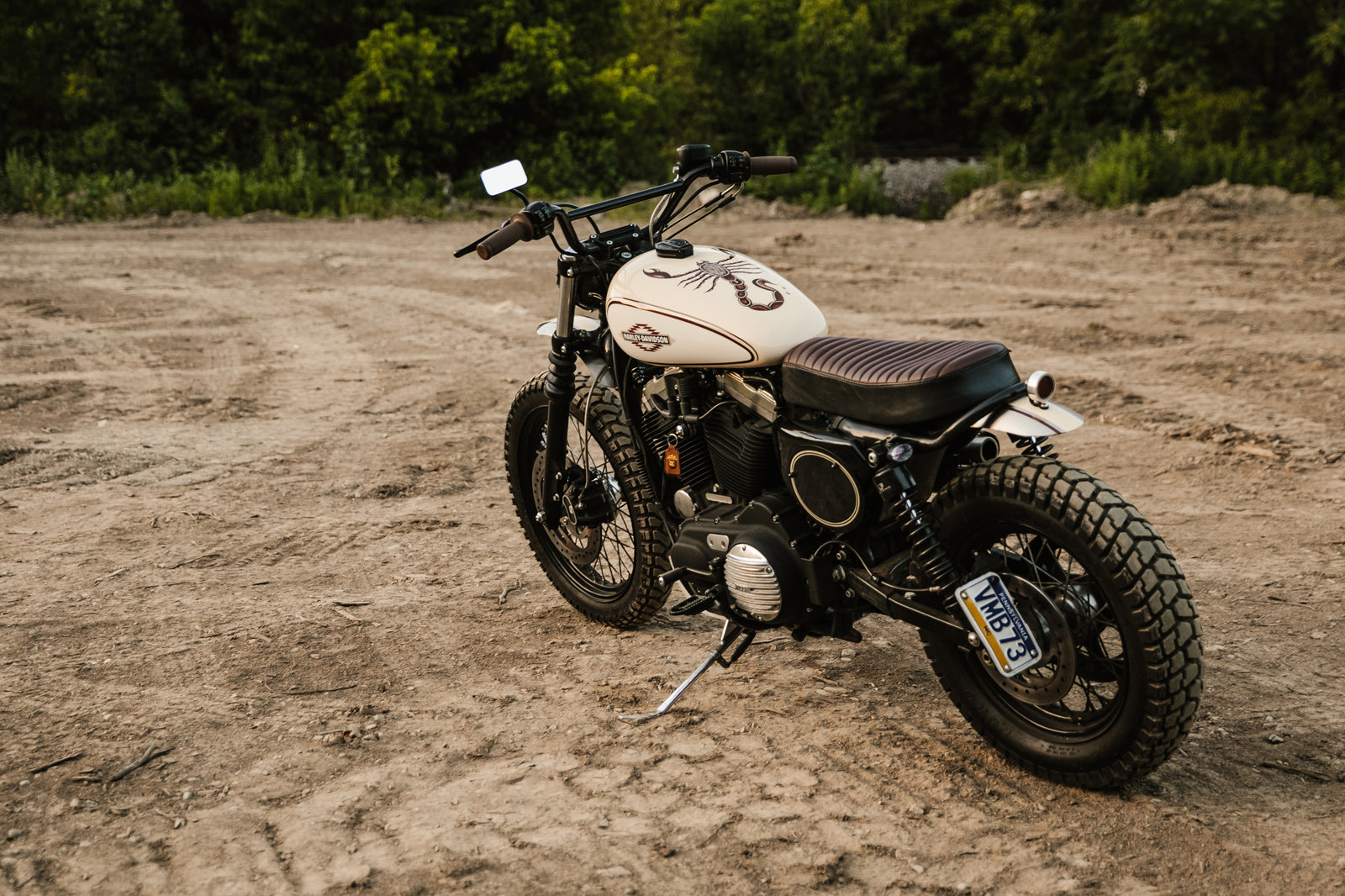 off road sportster