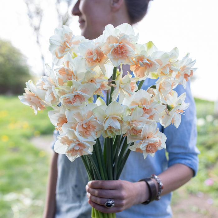 Narcissus Delnashaugh – Floret Flower Farm
