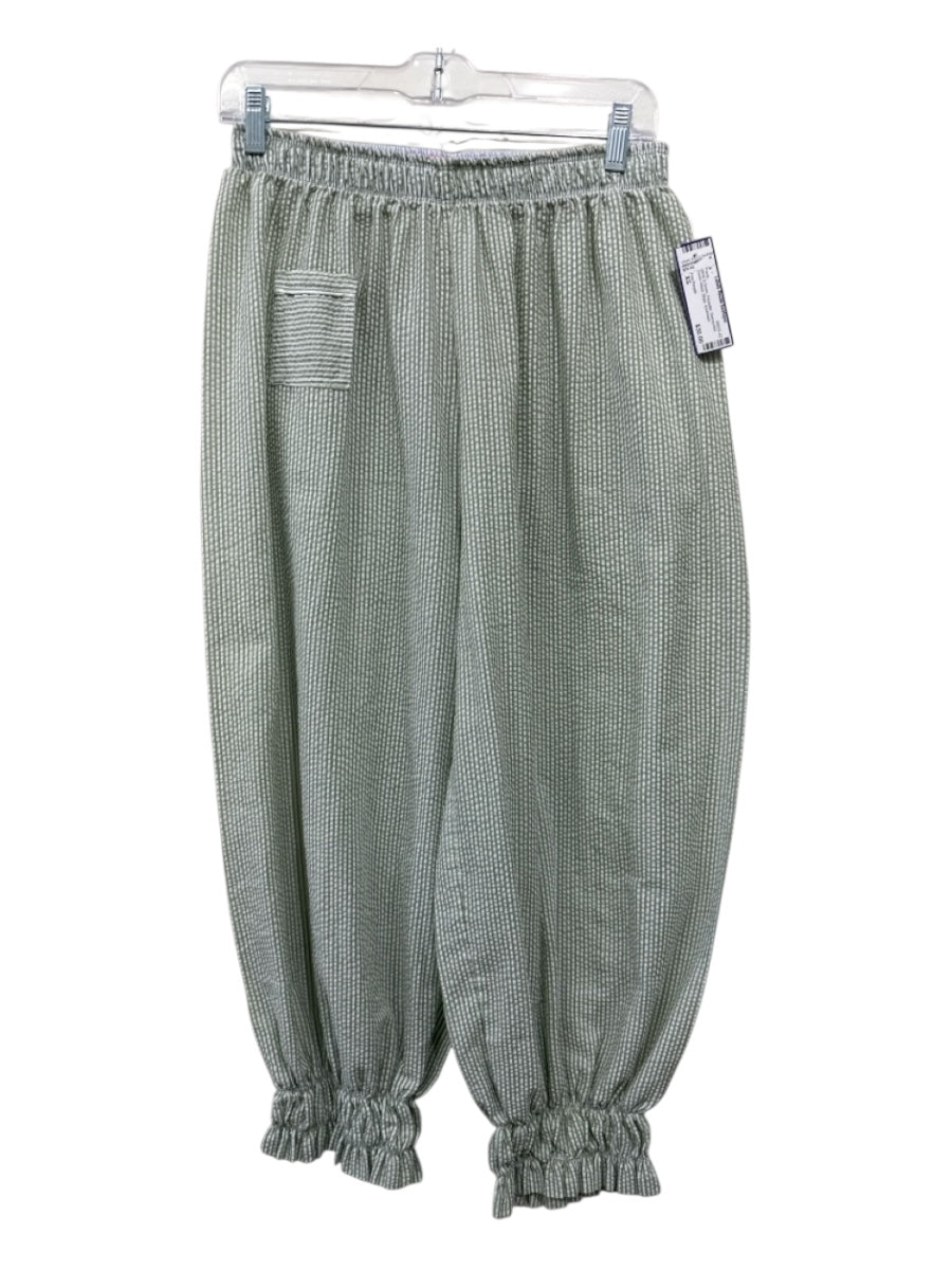Free People Size XS White & Green Polyester Seersucker Elastic Waist Pants