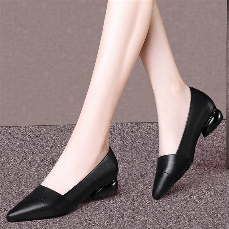 Violet Women's High Quality Classic Low Heel Pumps Shoes ...