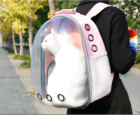 cat carrier backpack