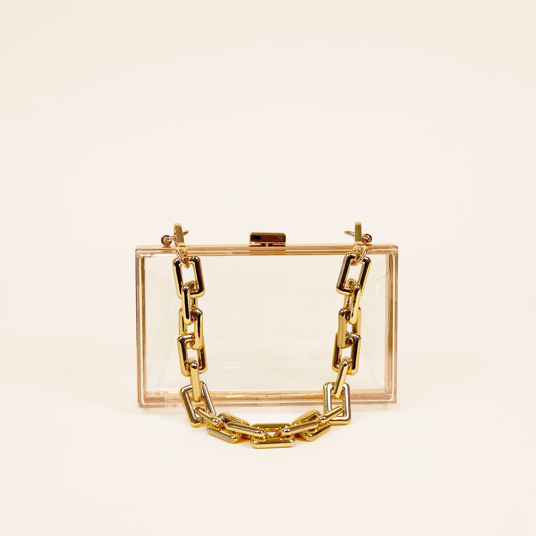 Gold Detail Plexiglass Box Bag