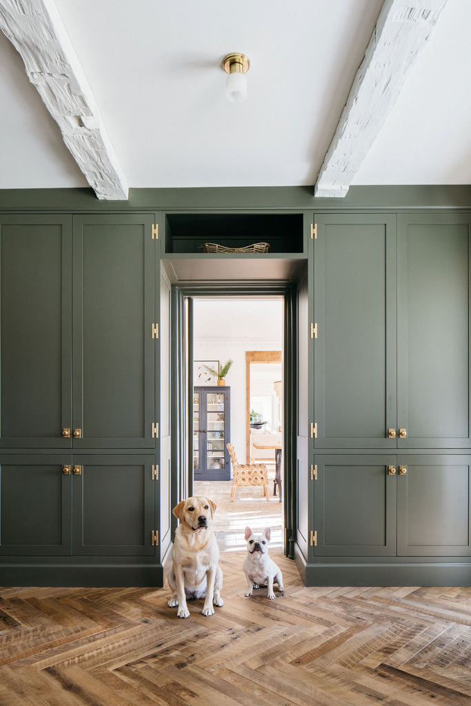 green painted kitchen cabinets with polished brass hardware, dogs in doorway