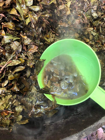 Bhutan fermented tea process with oak ash