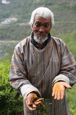 Bhutan Samchooling Tea Grower