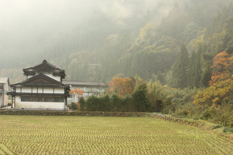 Furuichi's house and tea fields.