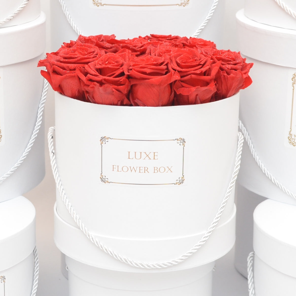 Medium Round Box - Customize it! - Last more than 1 year
