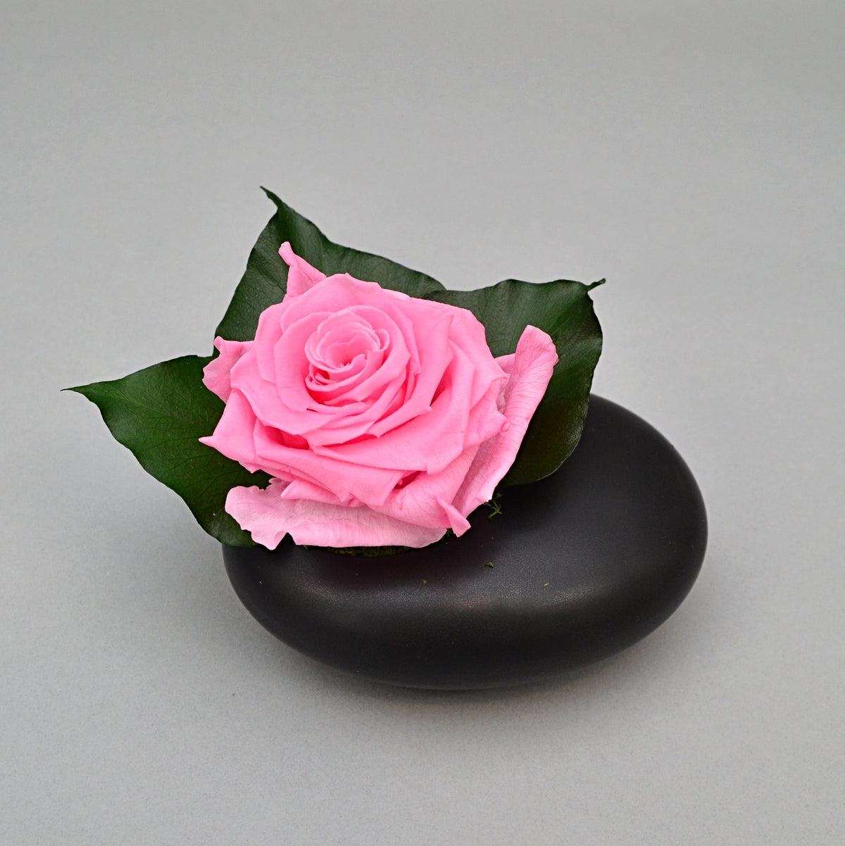 una sola rosa - Dura más de 1 año – Luxe Flower Box