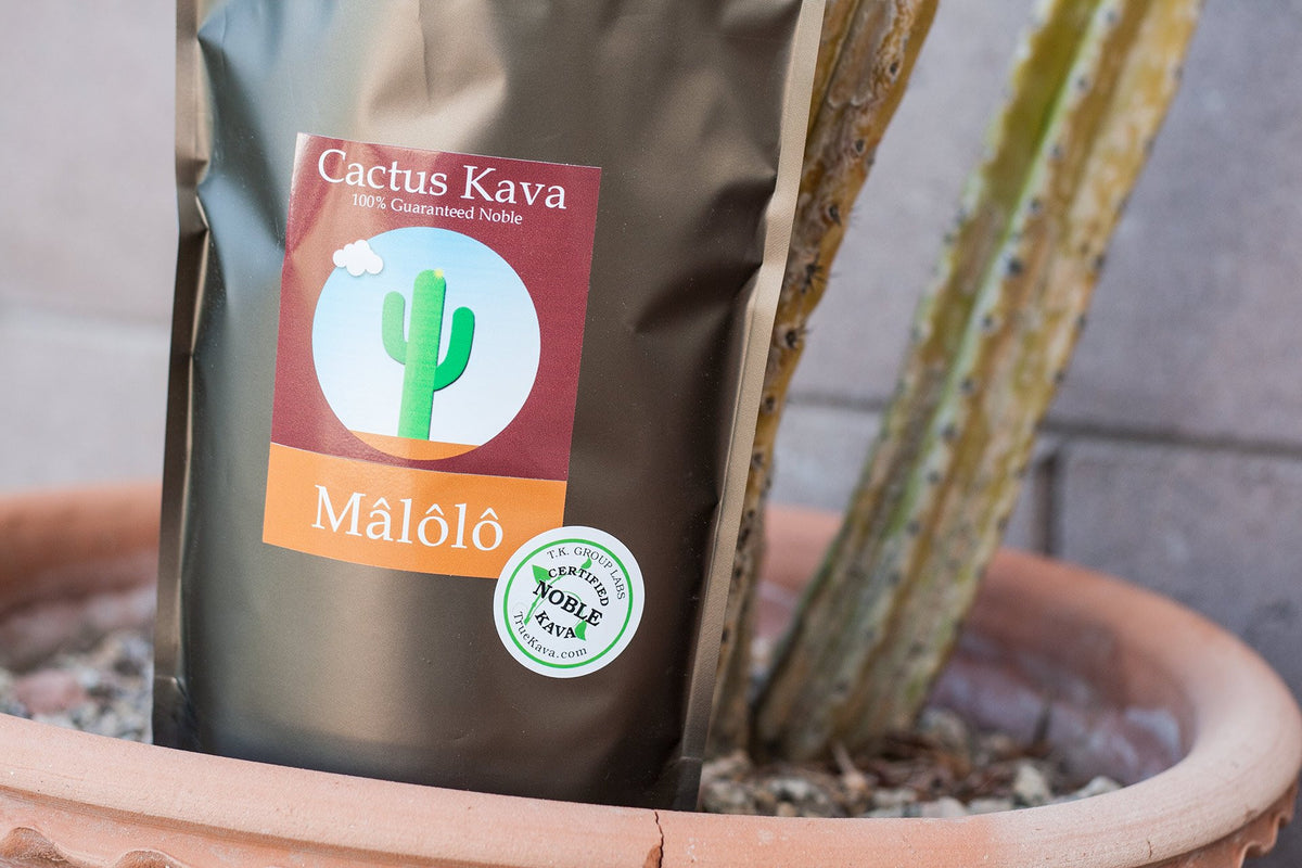 kava powder cactus