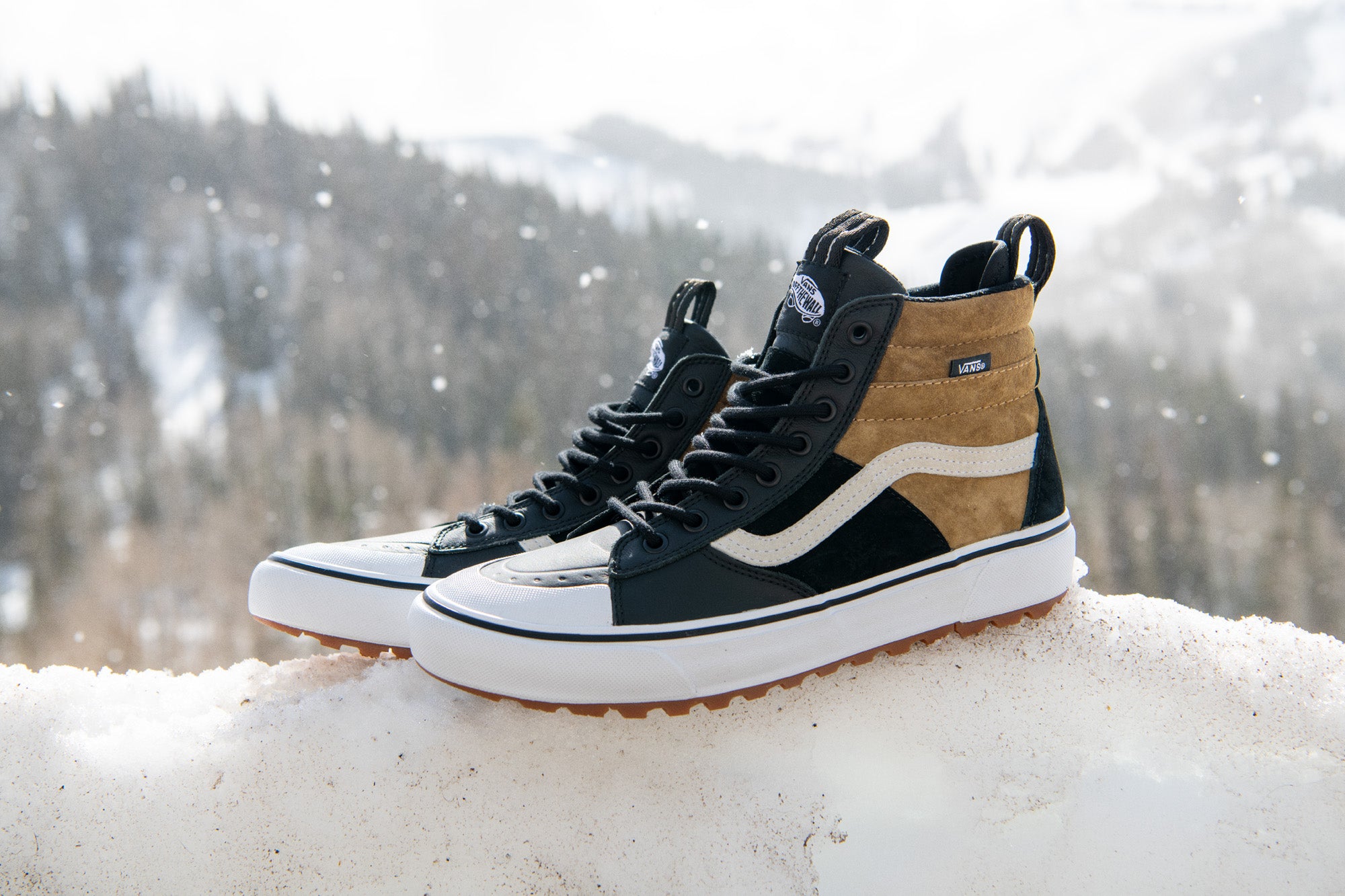 vans sk8 winter