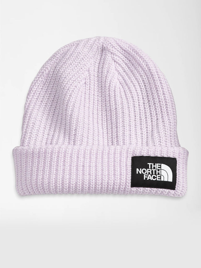 The North Face 2023 Salty Lined Beanie | EMPIRE