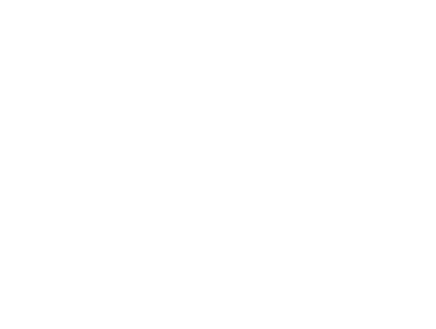 Converse Skateboarding logo