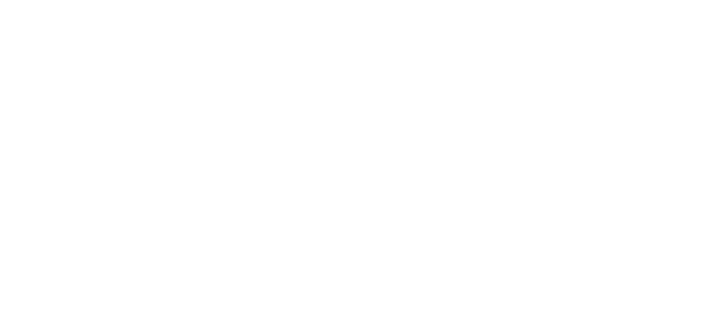 Vans Skate Classics logo