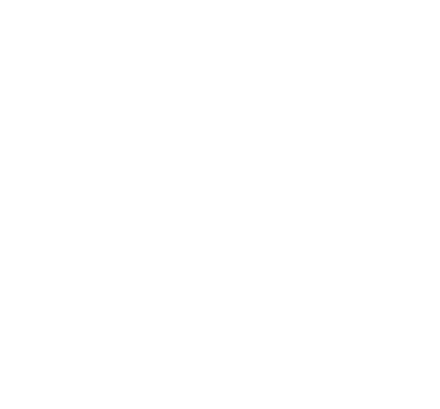 The North Face Summit Series logo