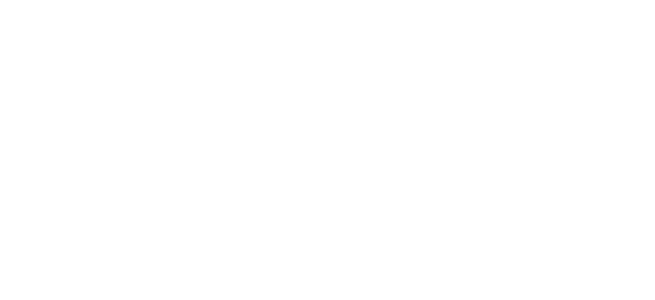 Vans Skate logo