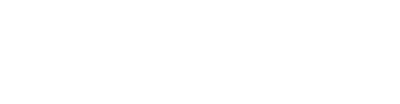 Salt & Stone logo