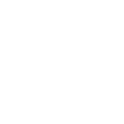 Rome Snowboards logo